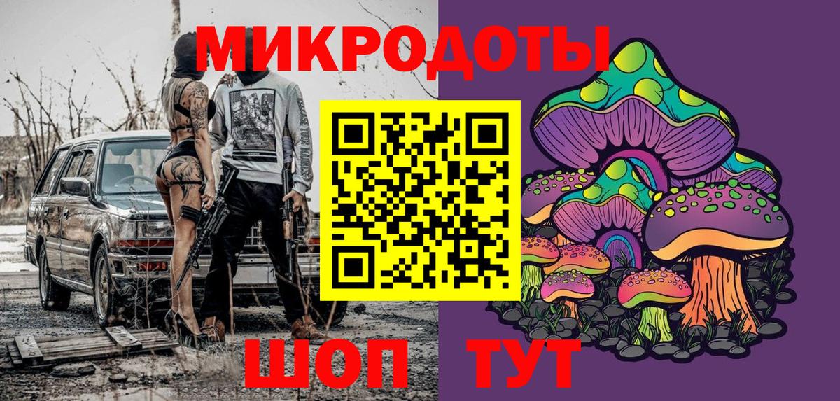 Галлюциногенные грибы Cubensis Грозный
