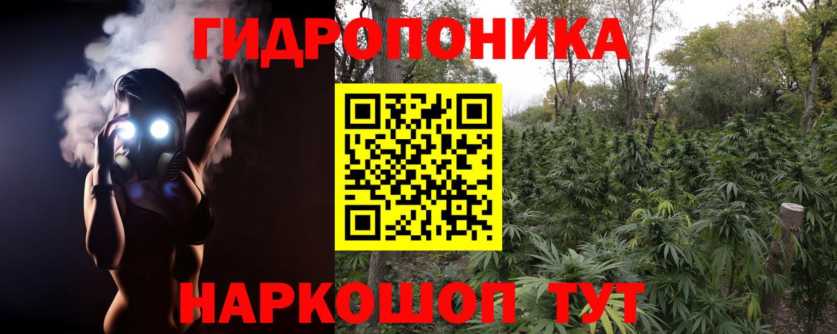 Каннабис тримм  Бошки Шишки VHQ  Шишки марихуана SATIVA & INDICA  Вход с VPN  Грозный  МАРИХУАНА White Widow 